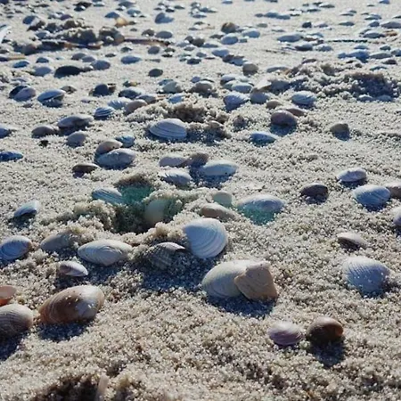 Apartmán Maritim Und Individuell